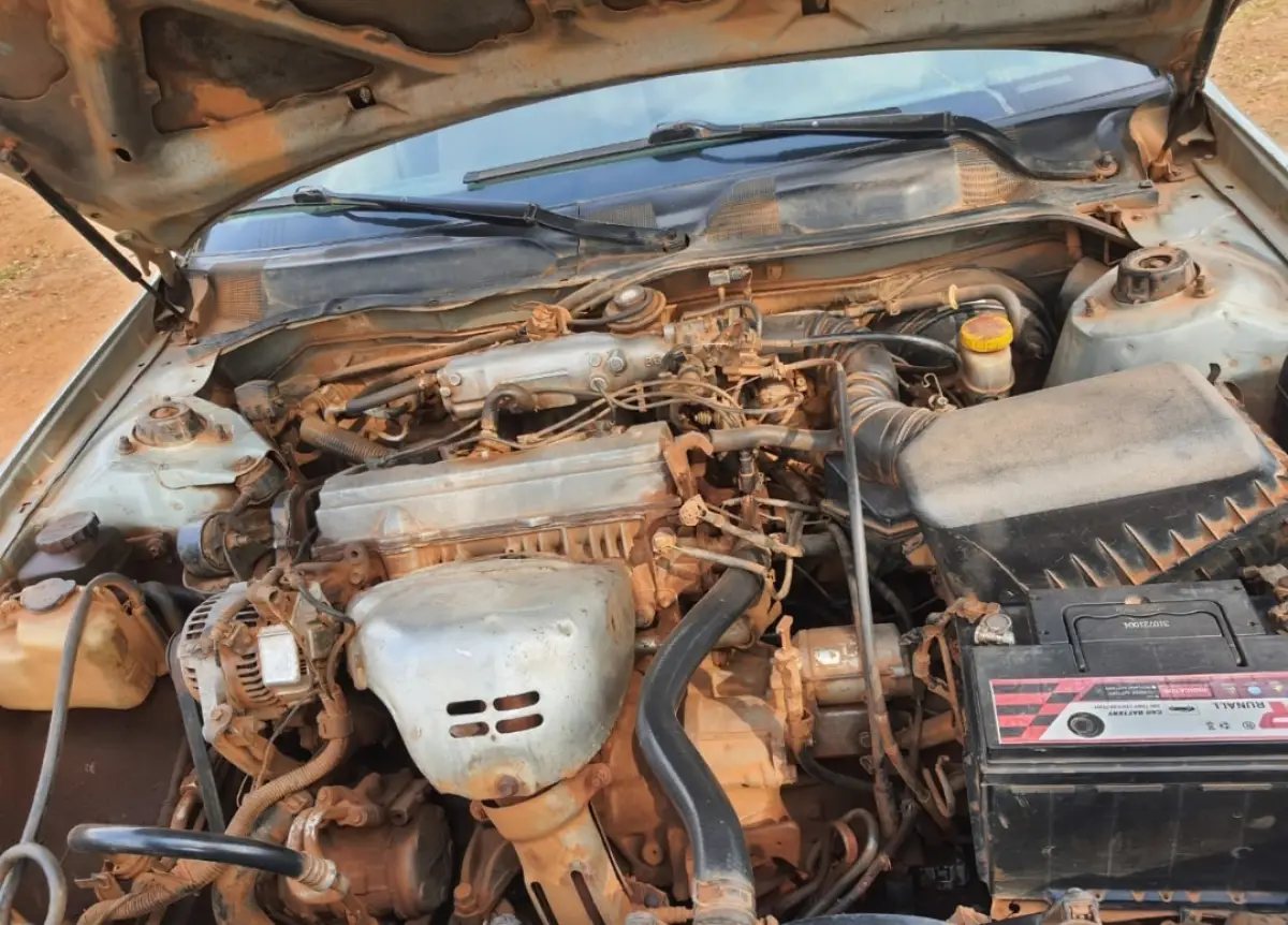 Toyota camry fish light - Image 5