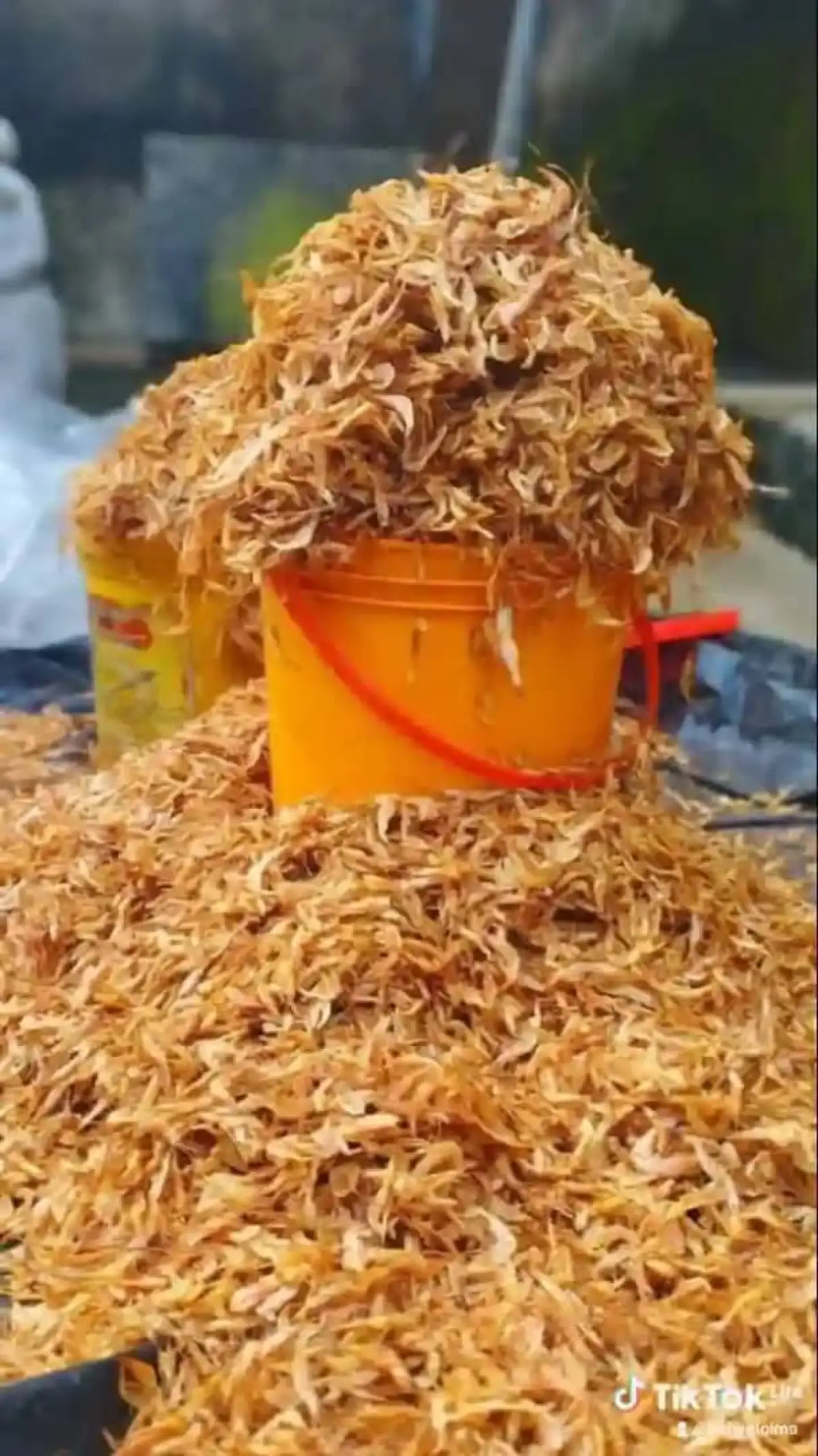 Sweet Crayfish for sale - Image 1