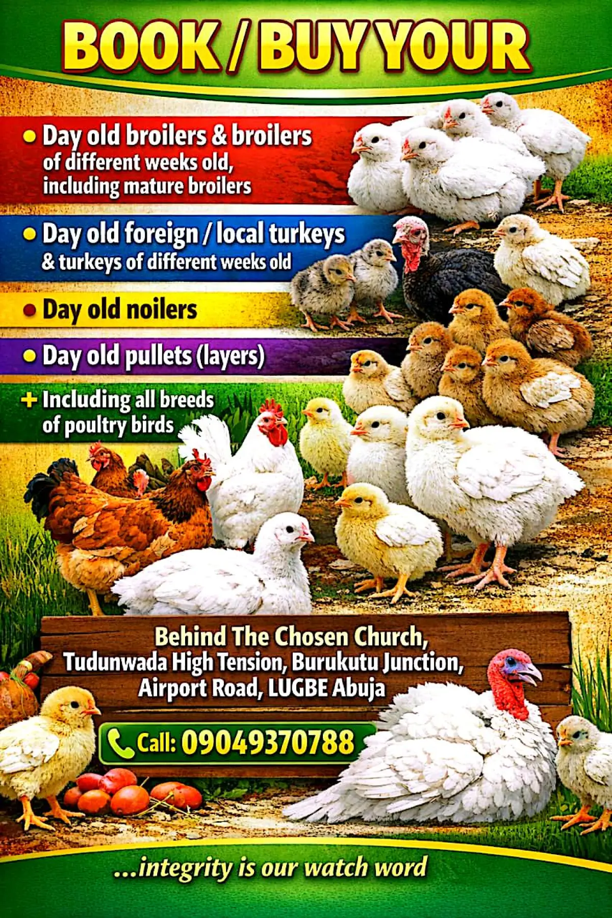 FOREIGN AND LOCAL TURKEY FOR SALE - Image 2