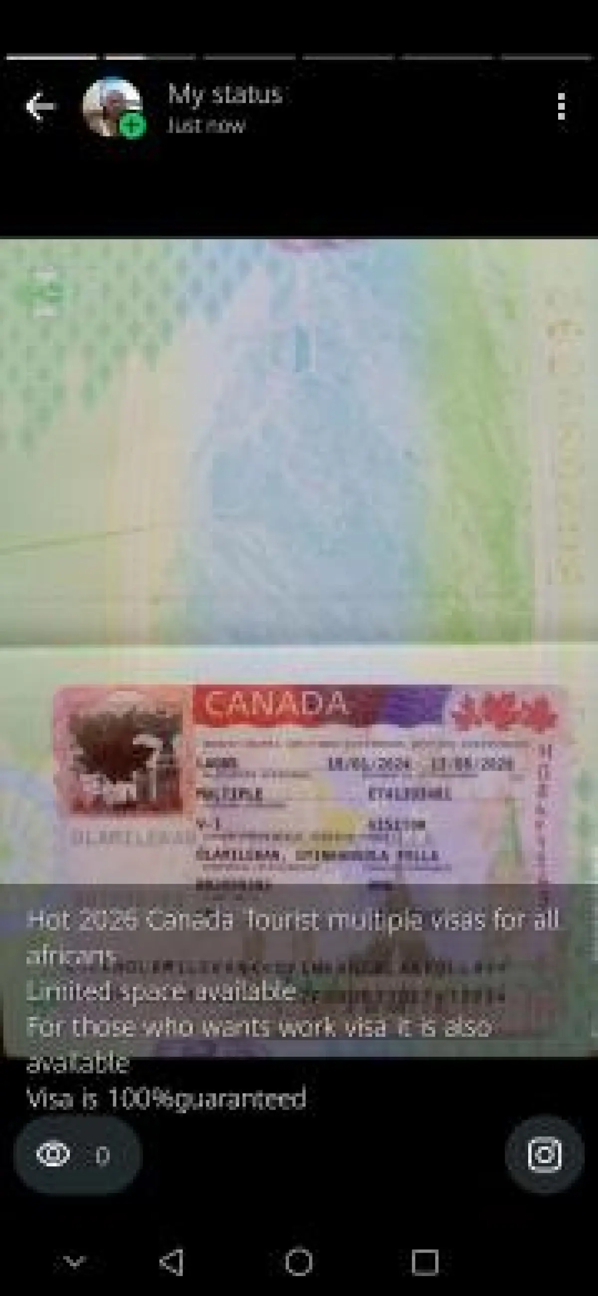 Visas to Canada Shengen Australia new Zealand Albania tourist work visaavai - Image 5