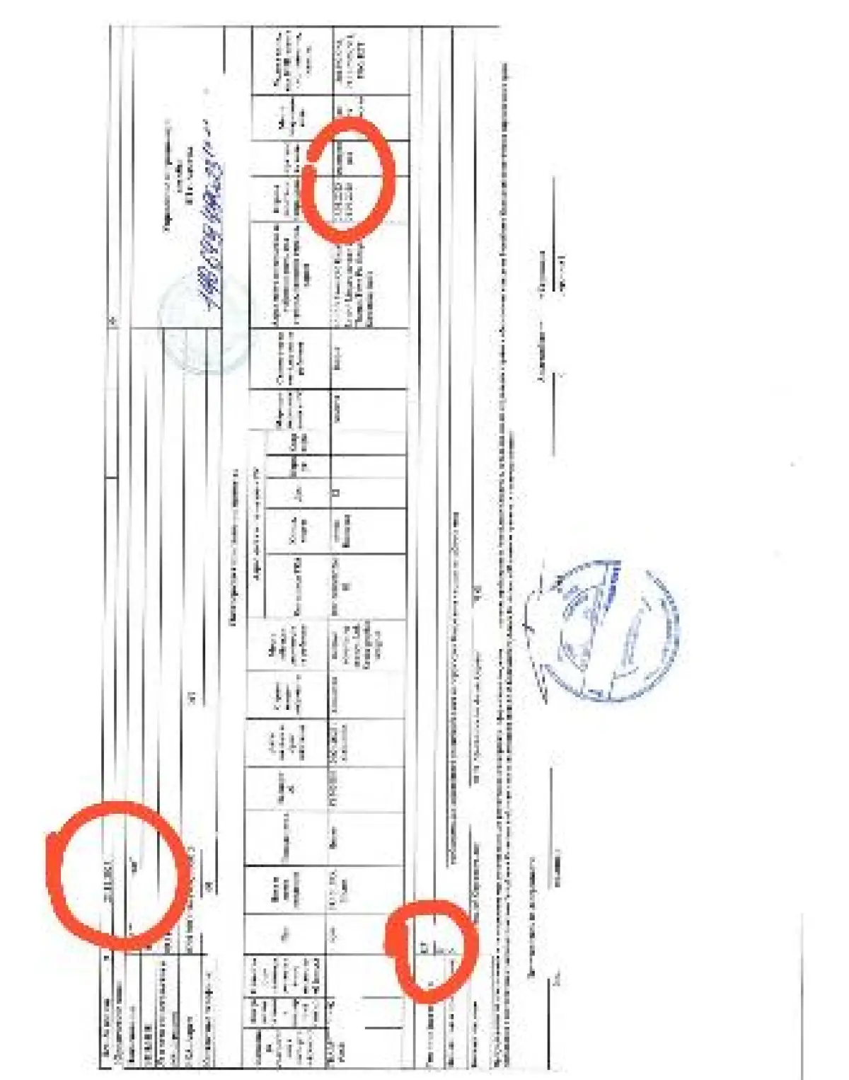 Visas to Canada Shengen Australia new Zealand Albania tourist work visaavai - Image 7