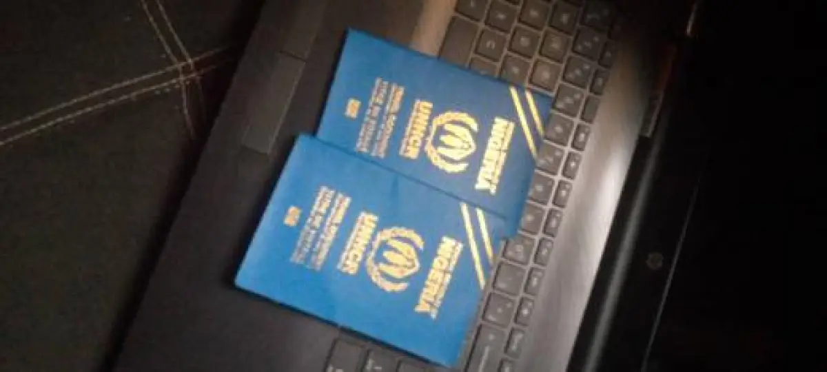 Visas visas visas and passports - Image 1