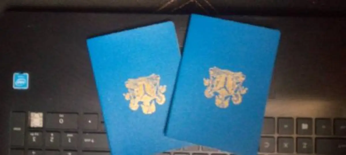 Visas visas visas and passports - Image 3