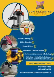 Upholstery and house cleaning services