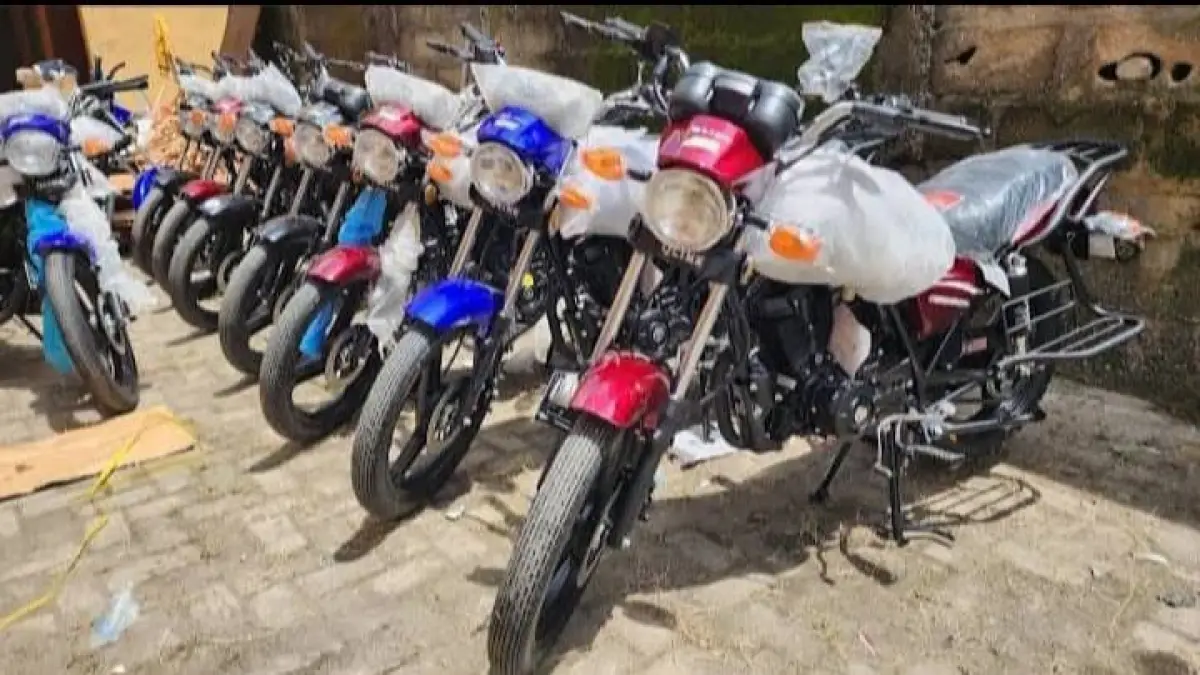 Qlink champion - Image 3