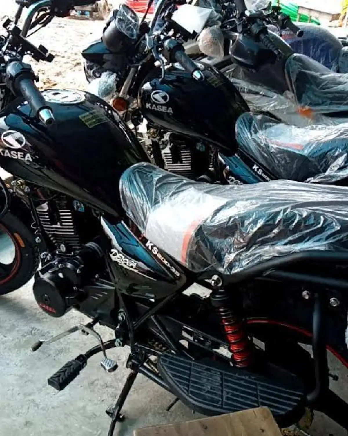 Qlink champion - Image 4