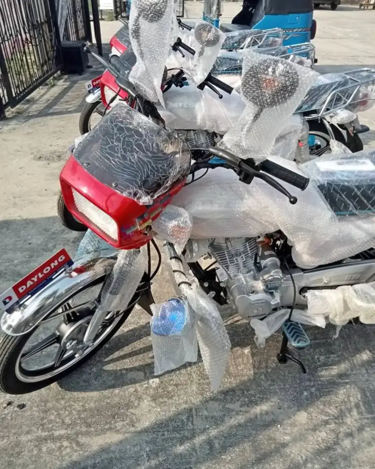 Day long 150 Wolf - Image 3