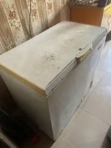 Hier thermocool deep freezer