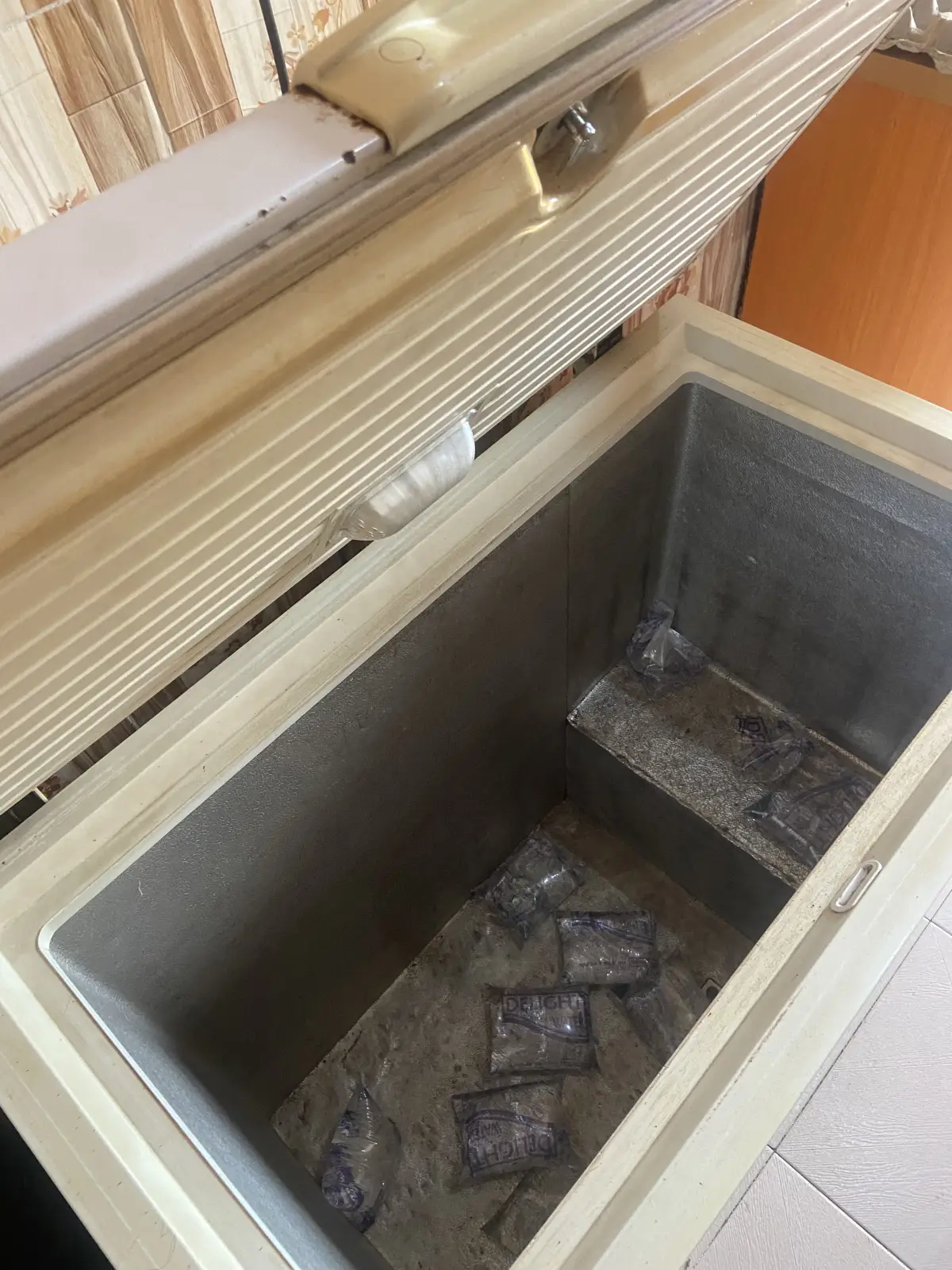 Hier thermocool deep freezer - Image 2