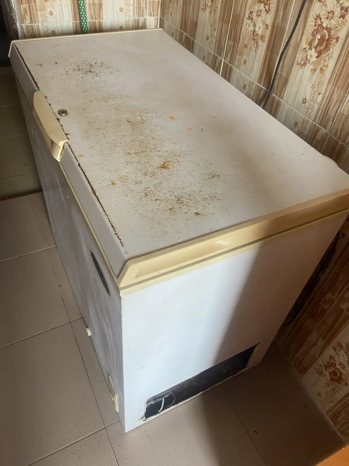 Hier thermocool deep freezer - Image 3