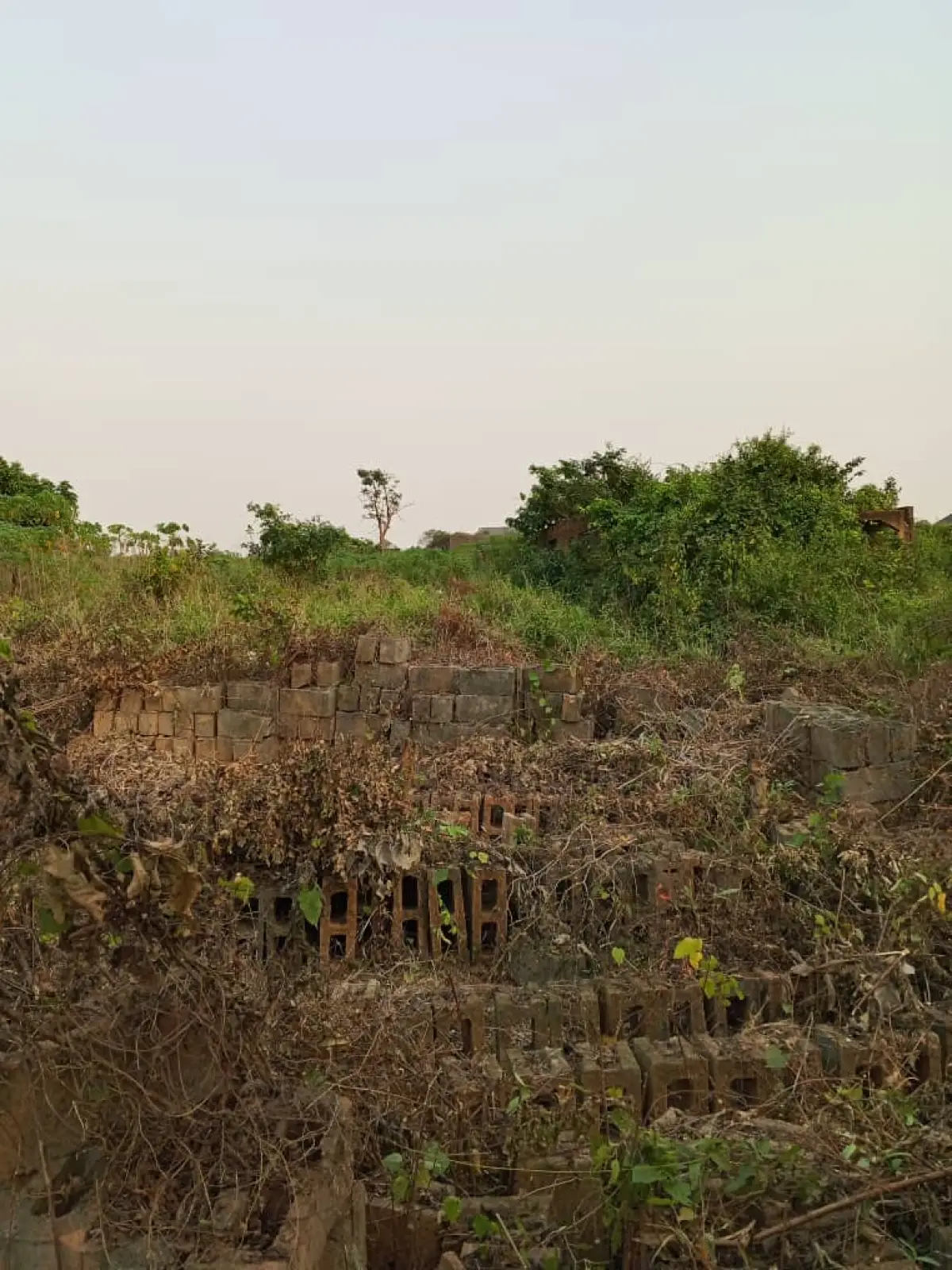 VIRGIN LAND FOR SALE - Image 1