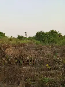 VIRGIN LAND FOR SALE