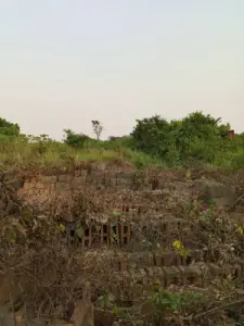 VIRGIN LAND FOR SALE