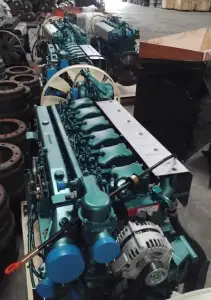 Brand New Howo Engine