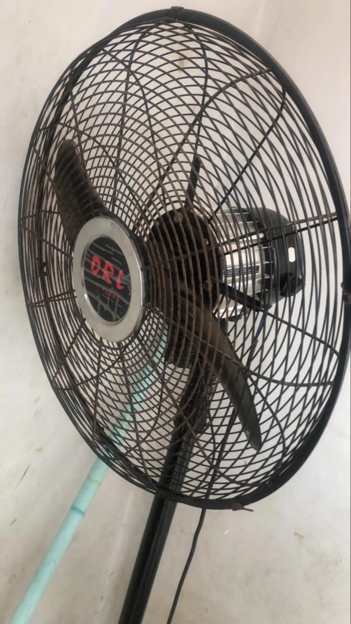 Fans - Image 1