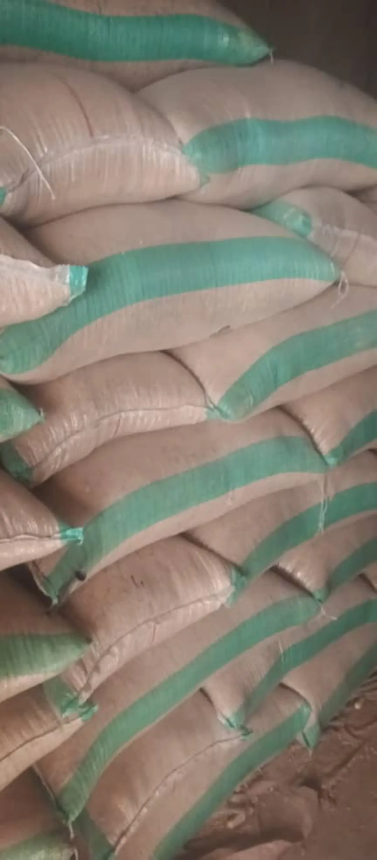 Cashew nuts - Image 1