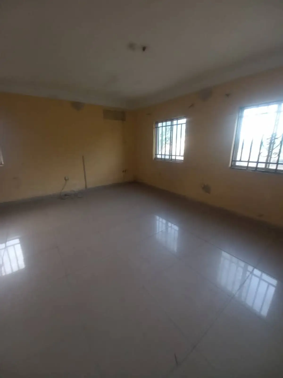 Distress sale - Image 1