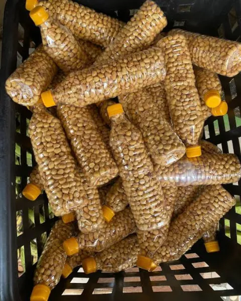 Fresh crunchy groundnut