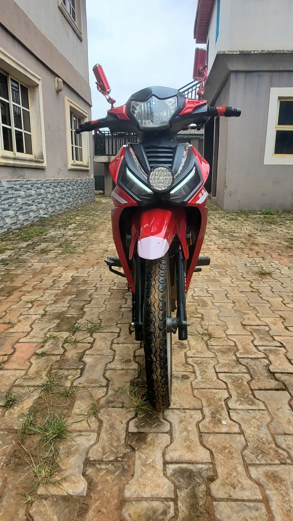 Qlink Reiz 110cc - Image 2