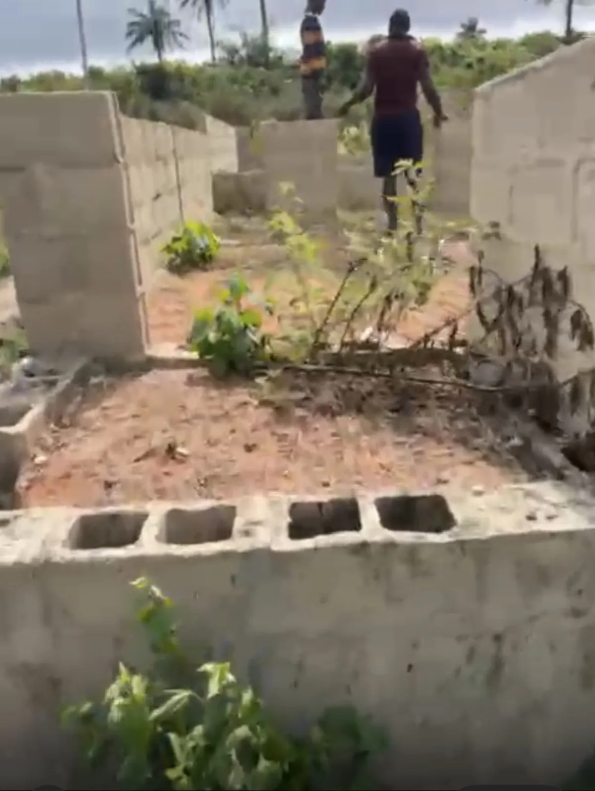 2 unit of room and parlors - Image 3