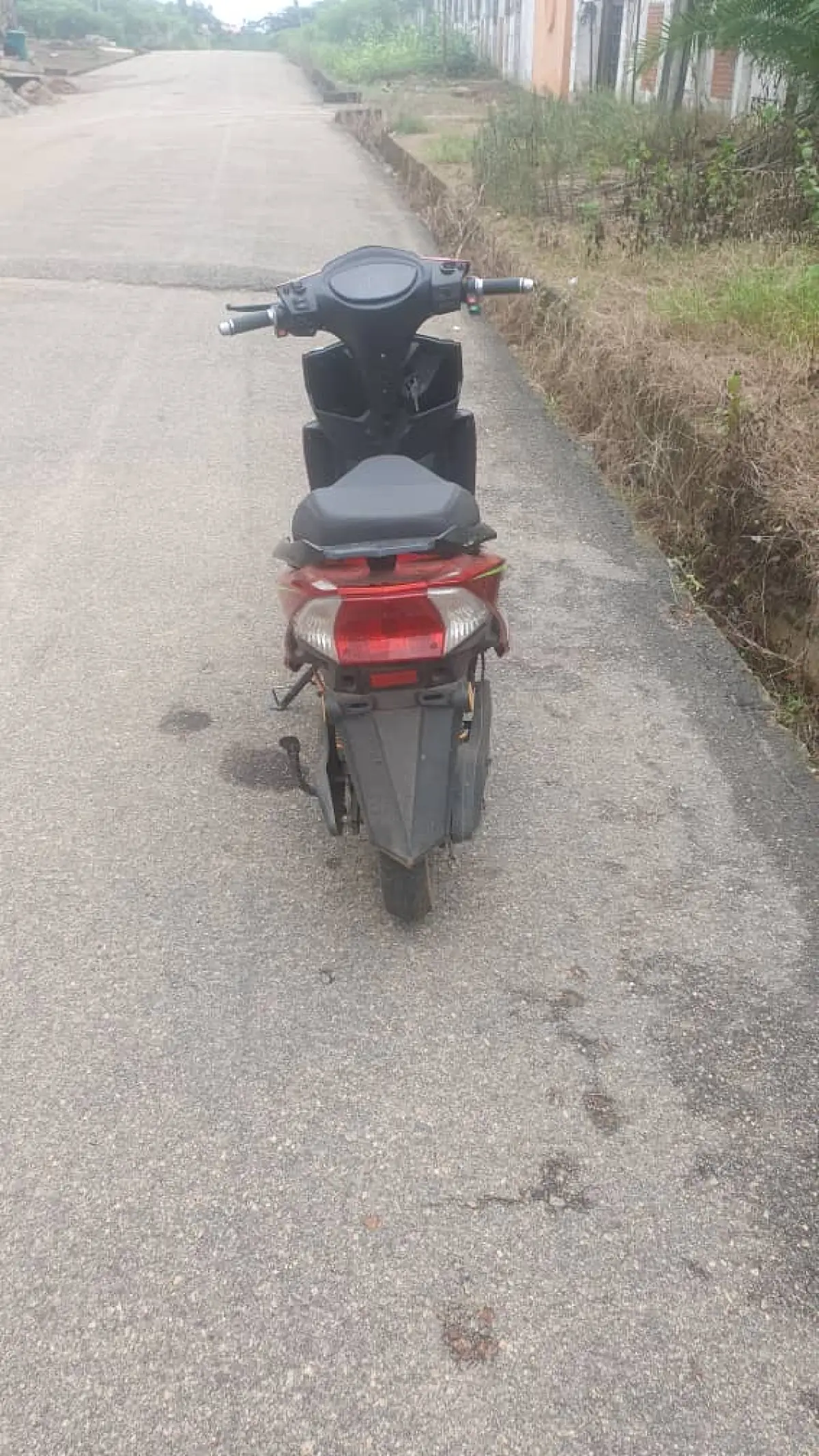 Electric Lady's Bike - Image 2