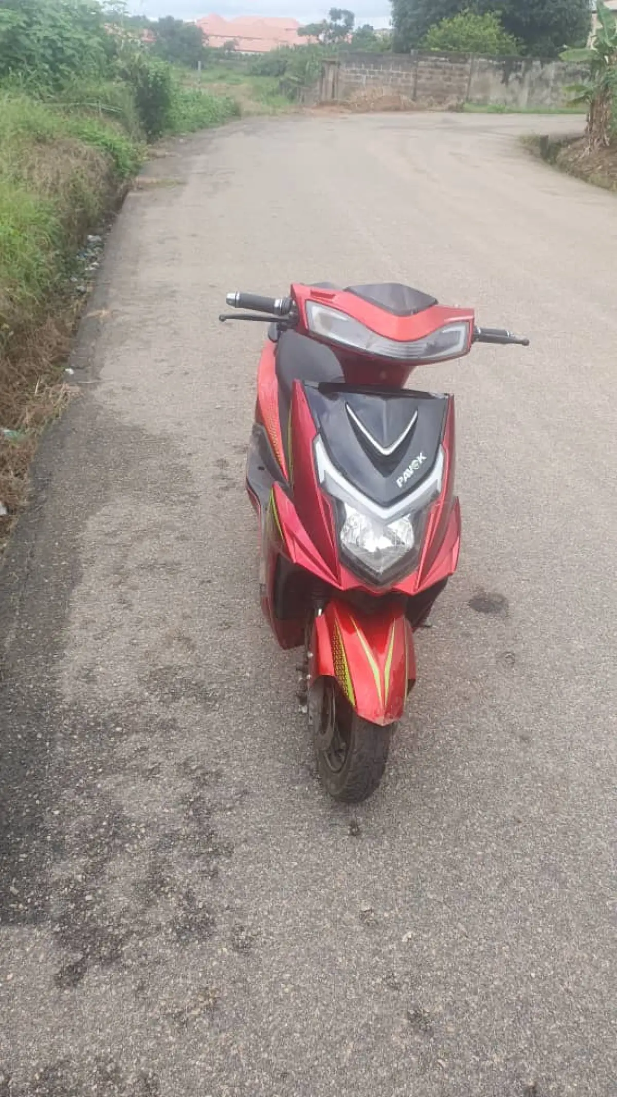 Electric Lady's Bike - Image 4