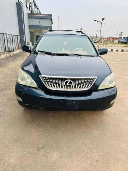 Lexus RX 330 06