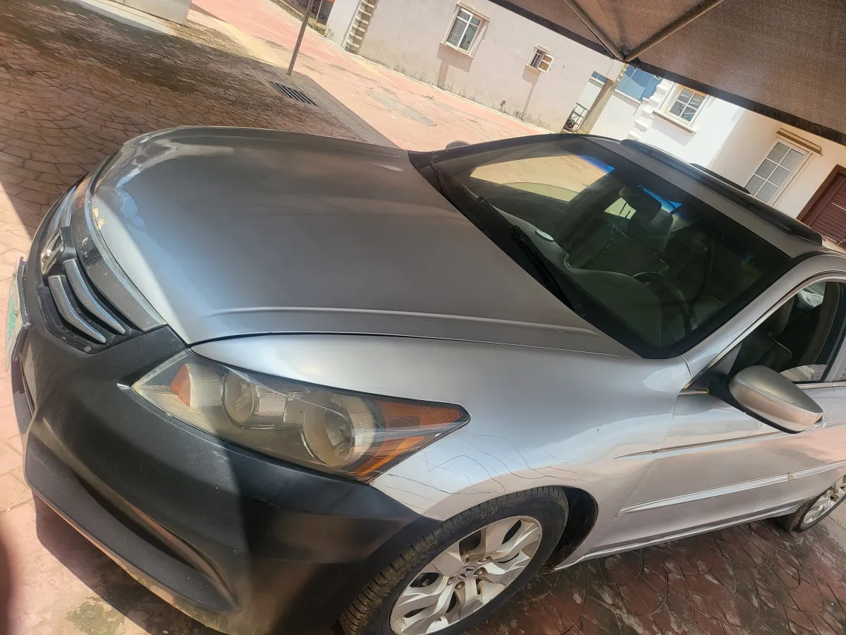 Hunda 2008 - Image 4