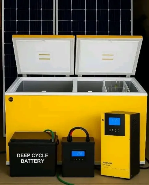 2 DOOR DEEP FREEZER WITH 6PANELS