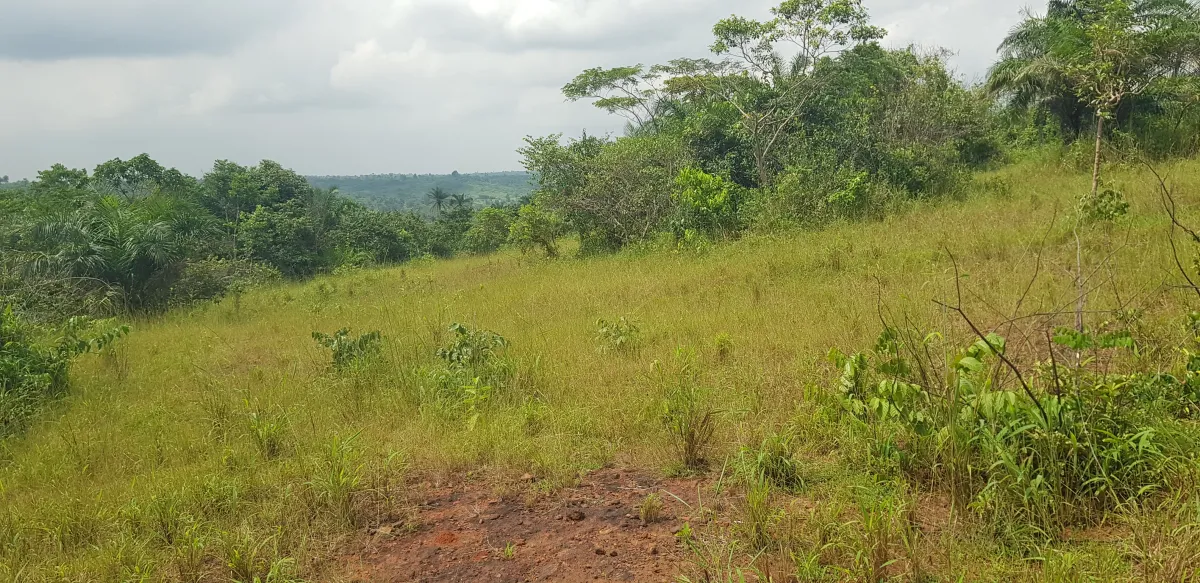 10acres Commercial Land for Sale in Ogere Axis Near Lagos-Ibadan Expressway - Image 2