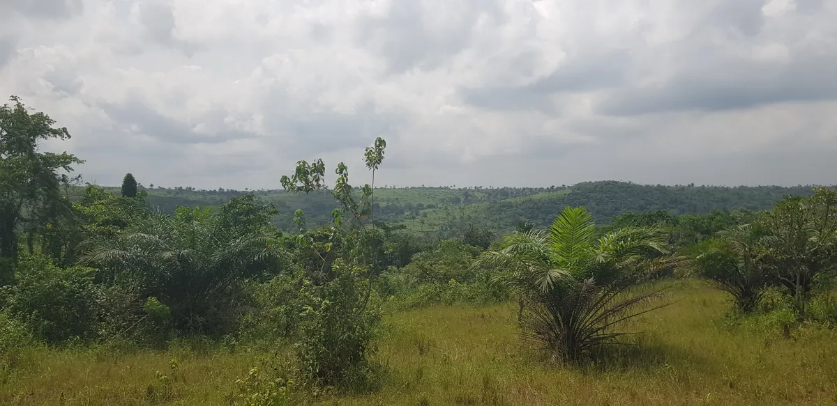 10acres Commercial Land for Sale in Ogere Axis Near Lagos-Ibadan Expressway - Image 3