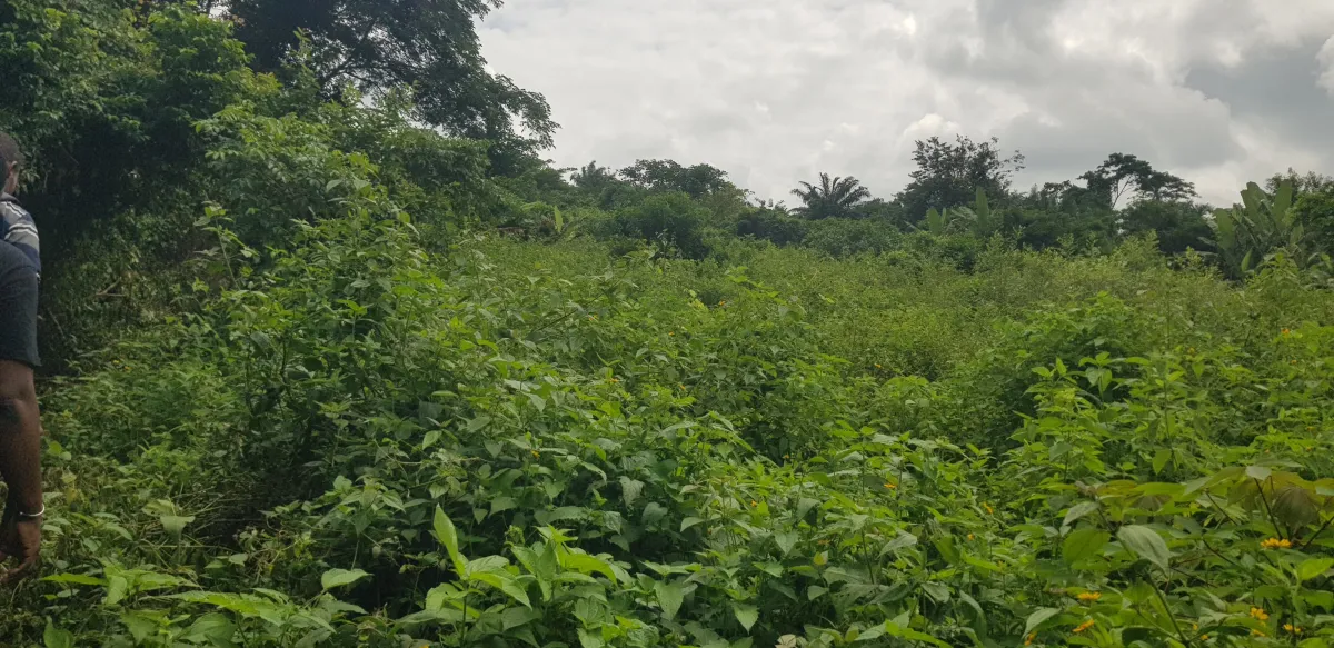 40000sqm of Industrial Land in Ogere Area, Close to Lagos-Ibadan Expressway - Image 1