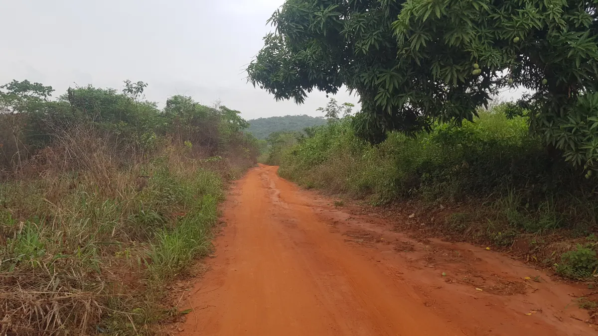 40000sqm of Industrial Land in Ogere Area, Close to Lagos-Ibadan Expressway - Image 4