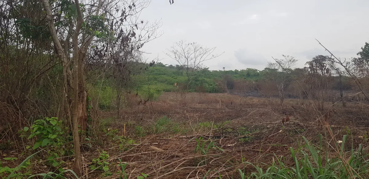 40000sqm of Industrial Land in Ogere Area, Close to Lagos-Ibadan Expressway - Image 3