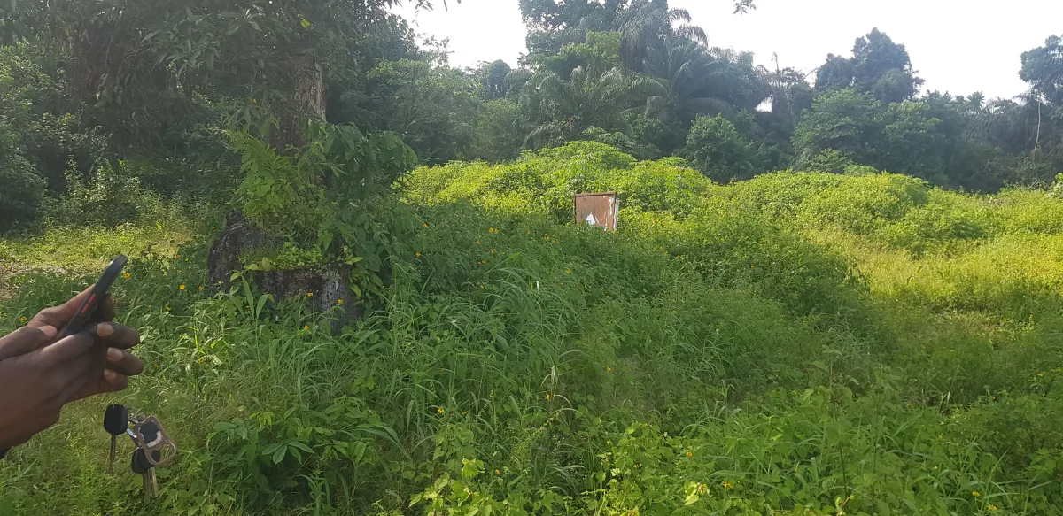 Dry land for commercial purposes, not far from major expressway - Image 1