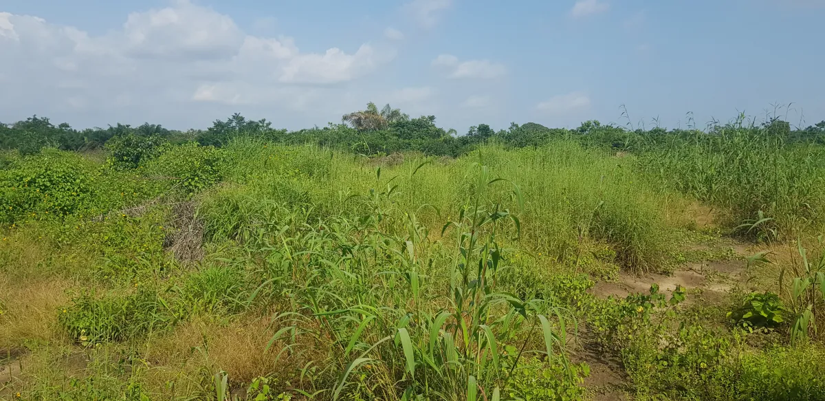 Dry land for commercial purposes, not far from major expressway - Image 2