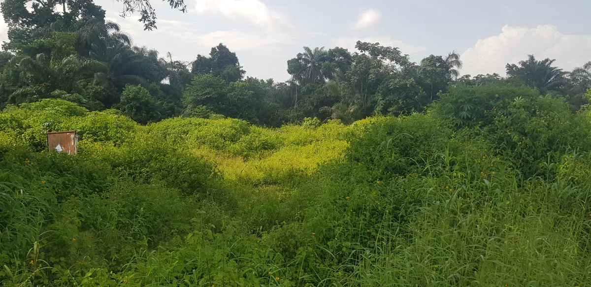Dry land for commercial purposes, not far from major expressway - Image 3