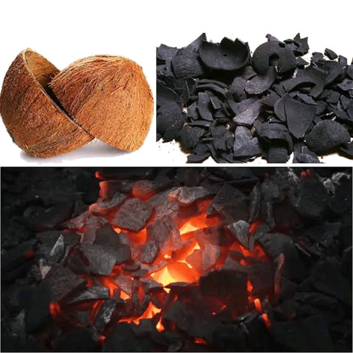 COCONUT SHELL CHARCOAL is available for sale - Image 2