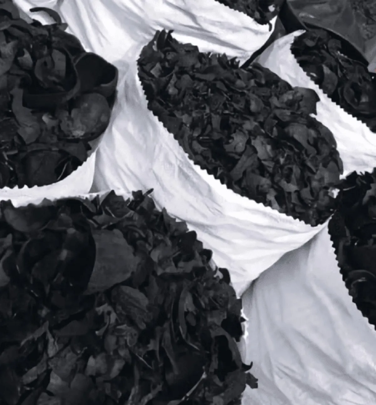 COCONUT SHELL CHARCOAL is available for sale - Image 3