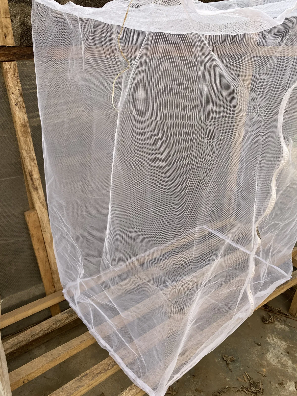 Black Soldier Fly Love Net - Image 2