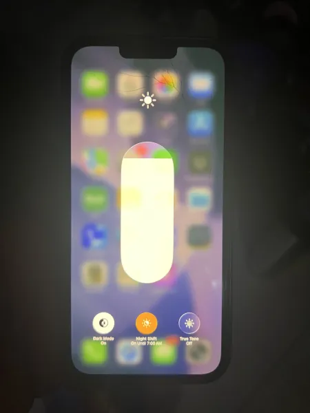 iPhone 13 Pro Max 256g