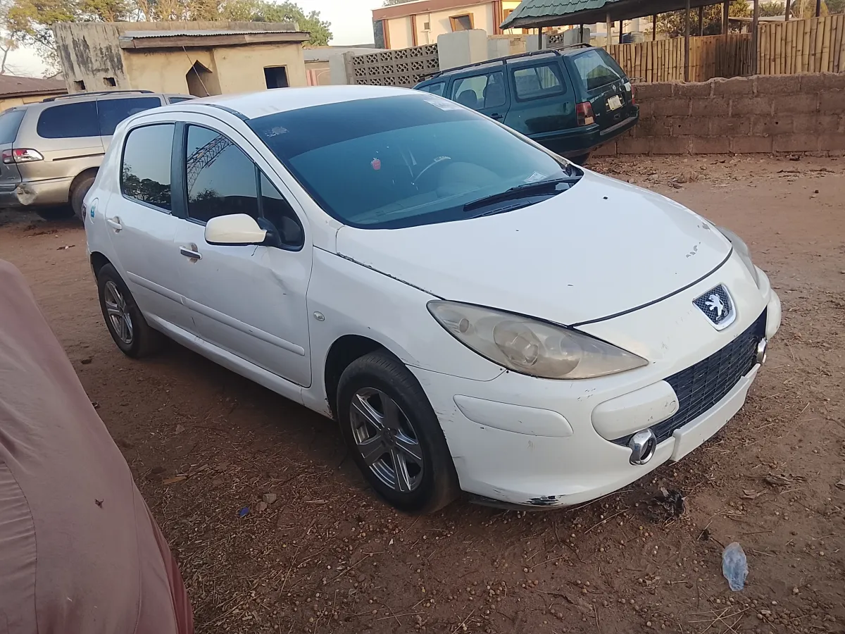 Peugeot 307 - Image 2