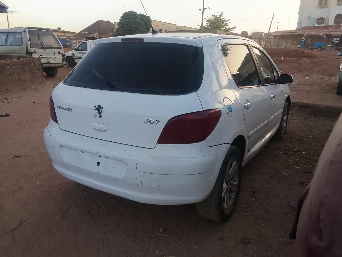 Peugeot 307 - Image 9