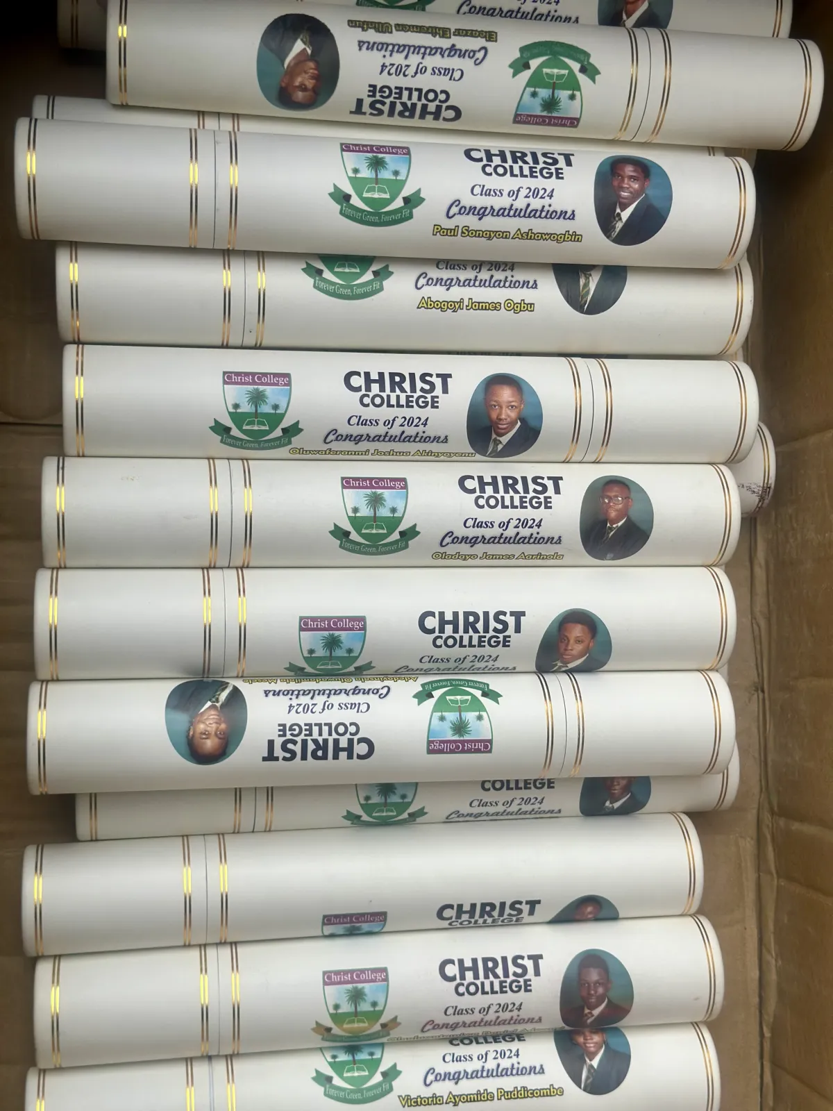 Graduation Scroll - Image 4