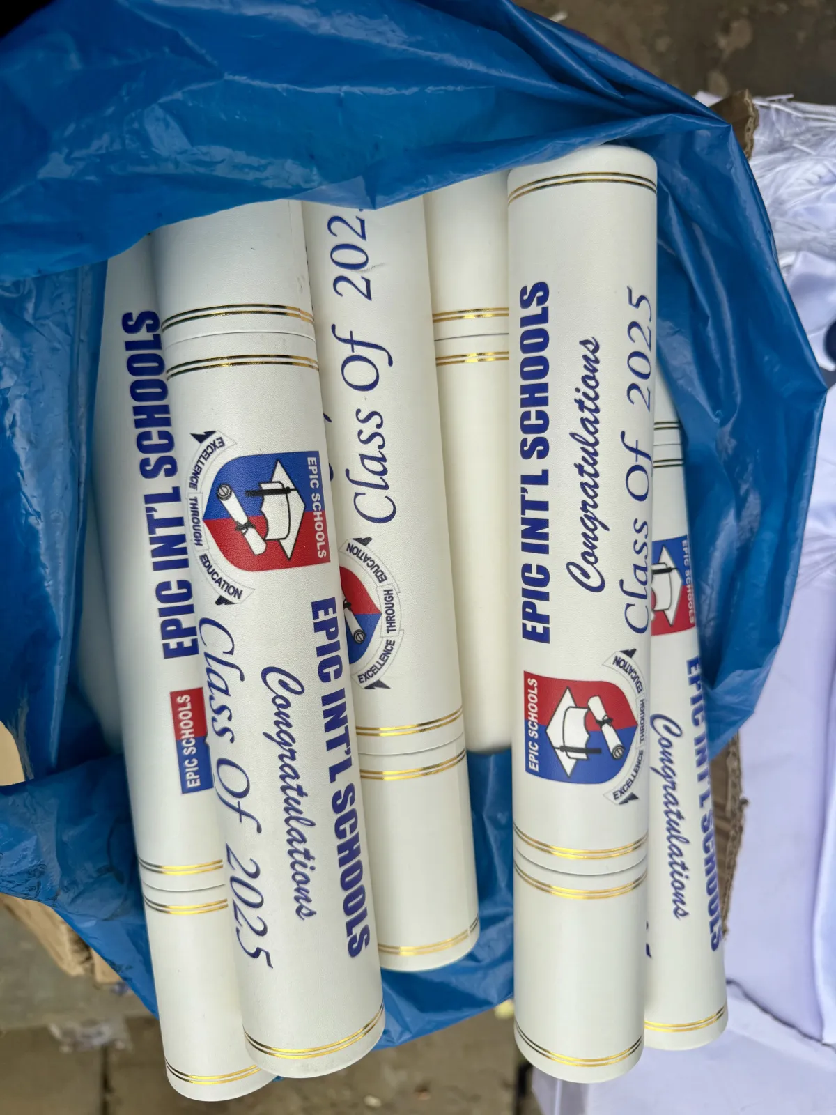 Academic scroll - Image 4