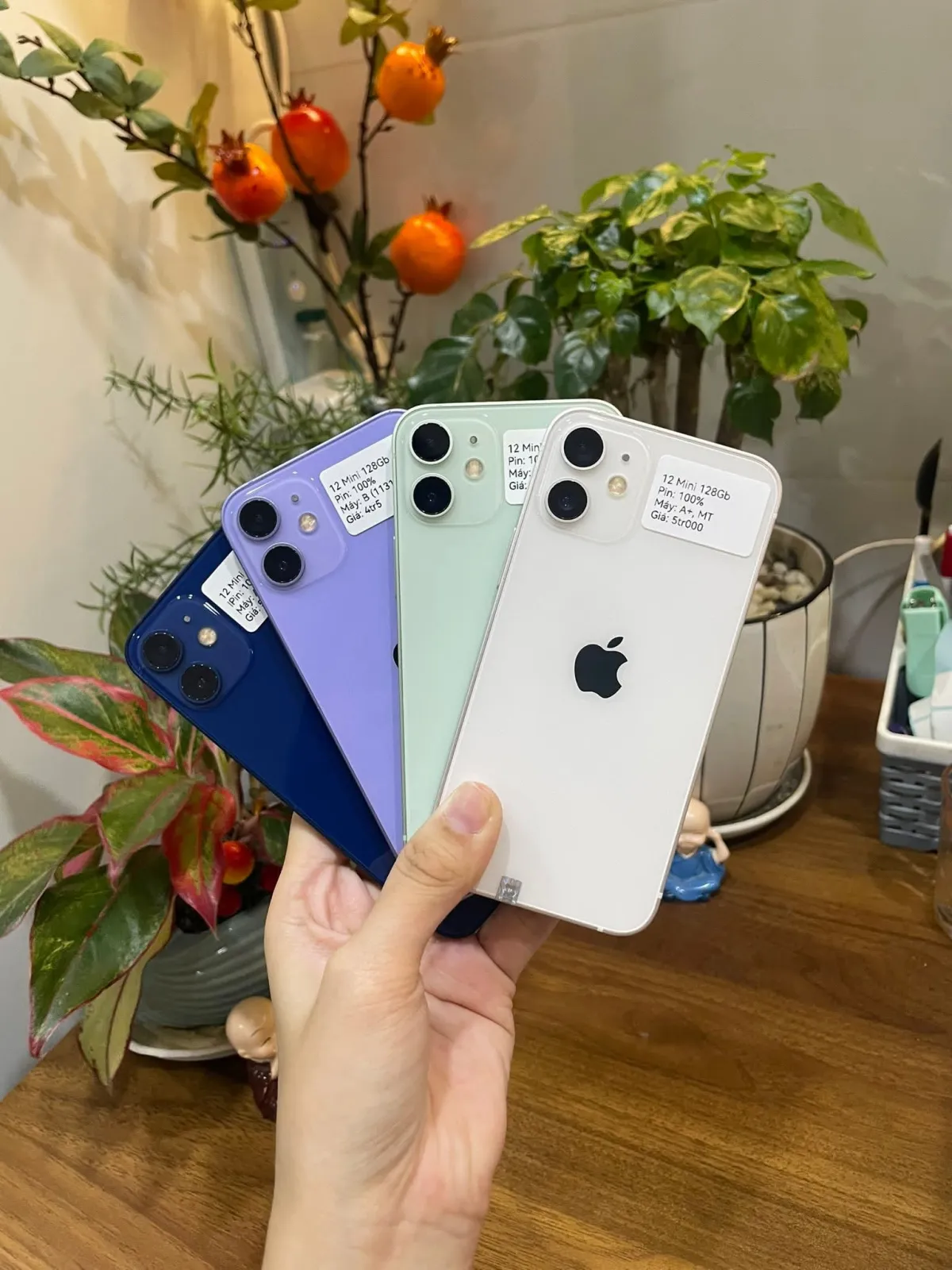 iPhone 12 mini in Benin - Image 4