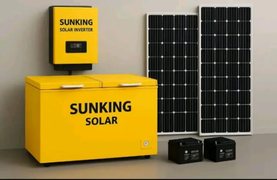 2 Doors Sunking Solar Deep Freezer