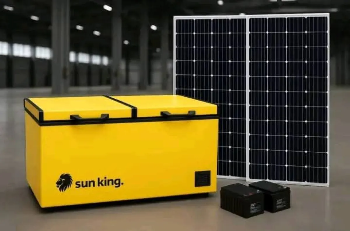 2 Door Sunking Solar Deep Freezer - Image 1