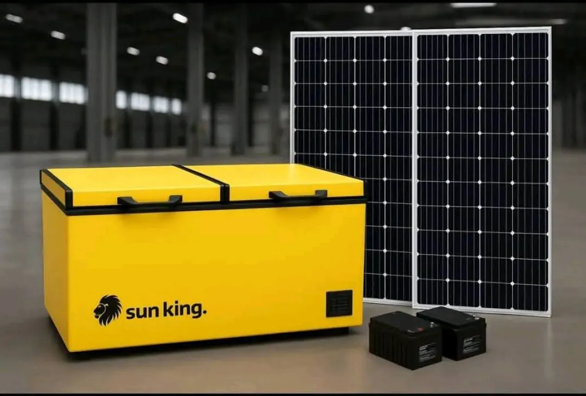 2 Door Sunking Solar Deep Freezer - Image 2