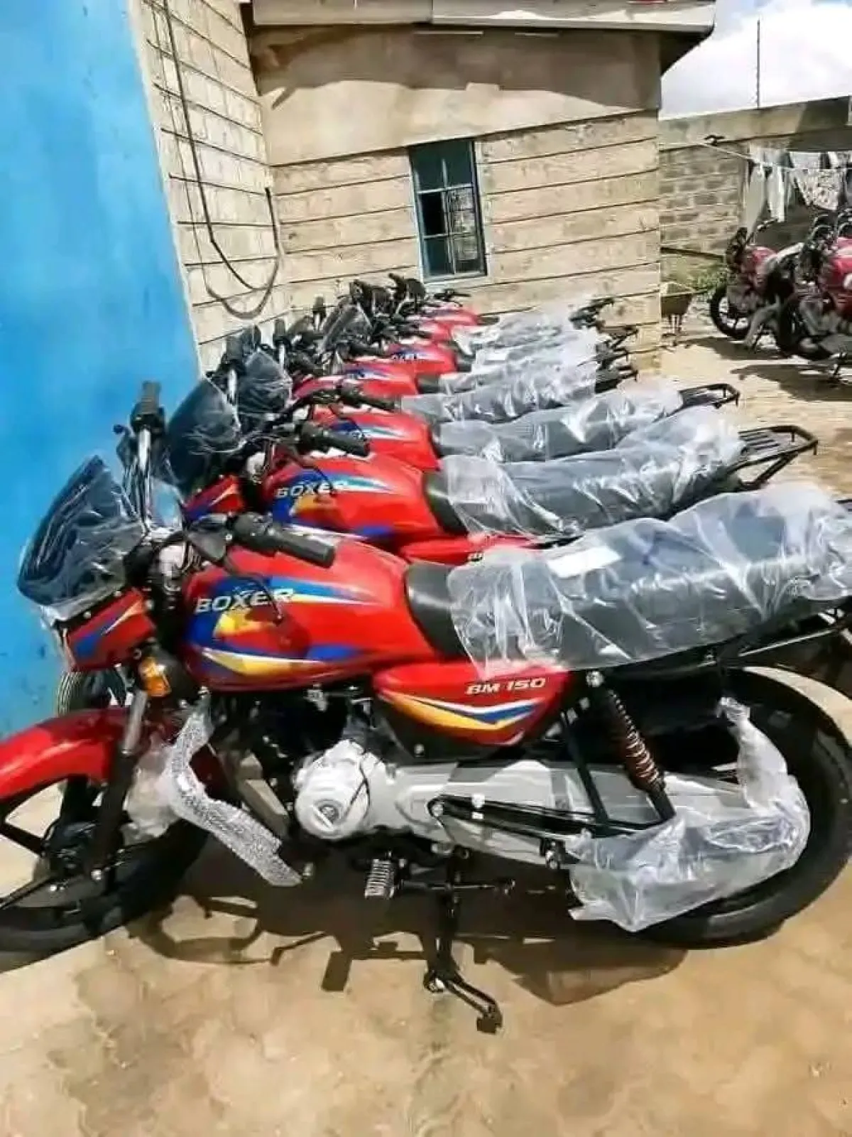 Bajaj Boxer - Image 2